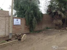TERRENO EN VENTA JATOSISA 2260.96 mt PACHACAMAC