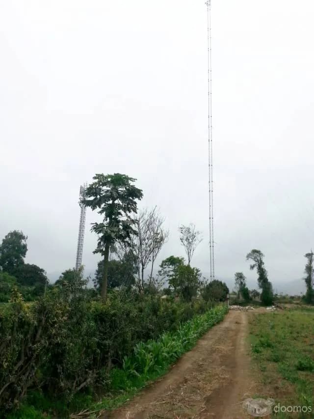 vendo terreno agricola inscrito en registros publicos todo en regla con agua y regadío ubicado en Aucallama Huaral. — foto 3