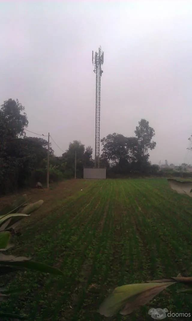 vendo terreno agricola inscrito en registros publicos todo en regla con agua y regadío ubicado en Aucallama Huaral. — foto 5