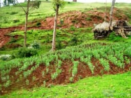 ASOCIACION QHAPAQÑAN Venta de terreno por lotes de 200 metros cuadrados a mas en la ciudad del Cusco