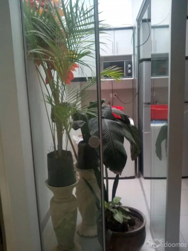 SE VENDE DEPARTAMENTO EN VILLA MARIA DEL TRIUNFO — foto 3
