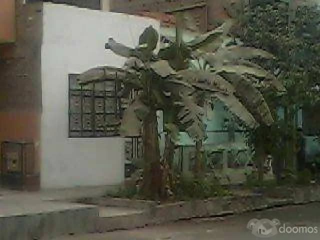 VENTA DE CSA COMAS- CELULAR:933904106 — foto 2