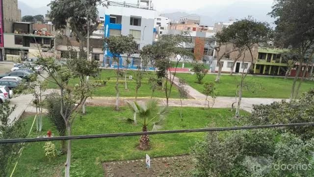 Venta departamento los Olivos — foto 1