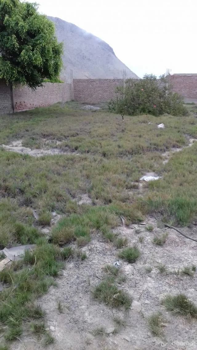 Terreno sin construir — foto 7
