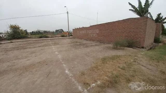 Se vende terreno en "Las viñas de Carabayllo" — foto 2