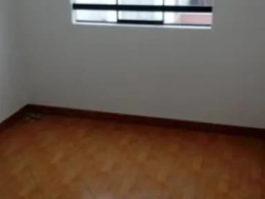Miniatura 10