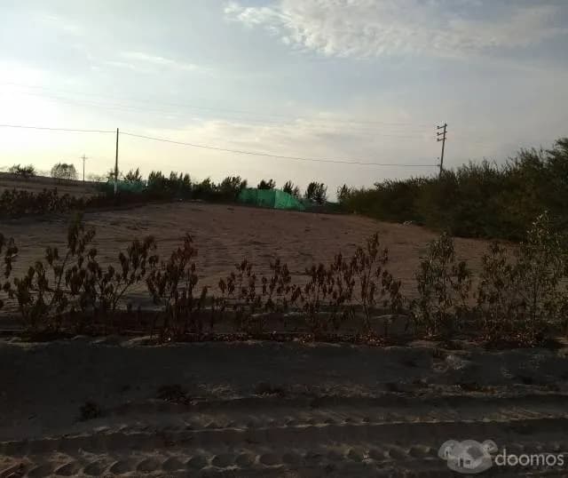 TERRENOS EN VENTA EN LA JOYA 1000 M2 — foto 5