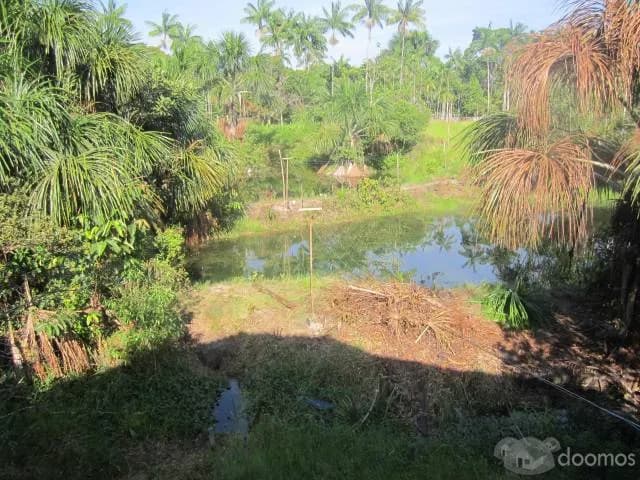 Mansion en Nina Rumi (Iquitos) con 2 piscinas — foto 5