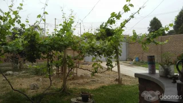 CASA DE CAMPO  HUACHO — foto 4