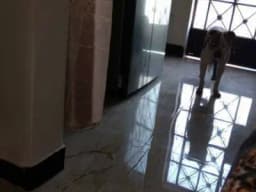ALQUILO DEPARTAMENTO CERCA AL MALL PLAZA CALLAO MINKA Y MAKRO A 5 MINUTOS DEL AEROPUERTO