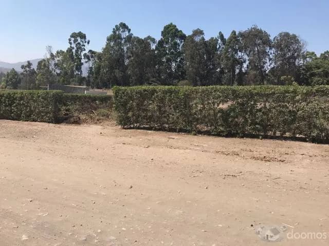 VENDO TERRENO EN PACHACAMAC — foto 1