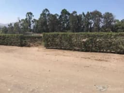 VENDO TERRENO EN PACHACAMAC