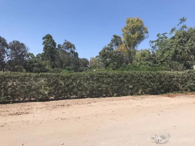 VENDO TERRENO EN PACHACAMAC — foto 6