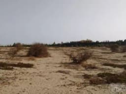 GRAN OPORTUNIDAD - REMATE DE TERRENO EN CAMPIÑA DE MOCHE