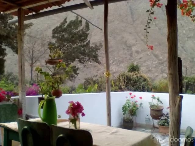 ALQUILO LINDA CASA DE CAMPO — foto 3
