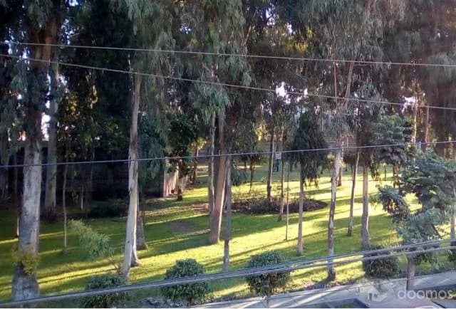 Linda - Casa ( dos pisos ) frente a parque, Incluye Cochera — foto 3