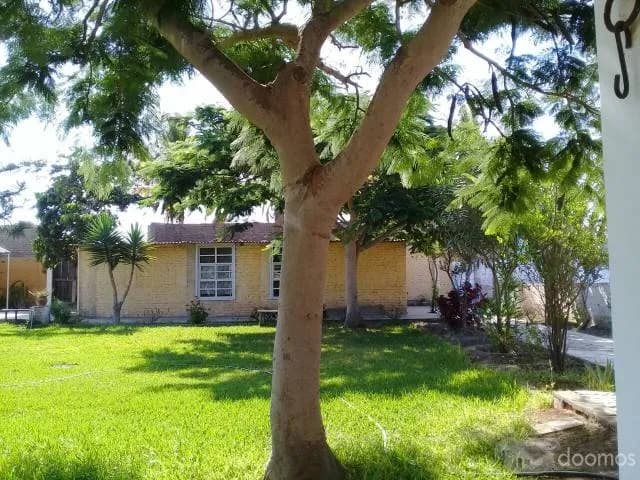 Ocasión Casa de Campo Chiclayo - Monsefu — foto 2