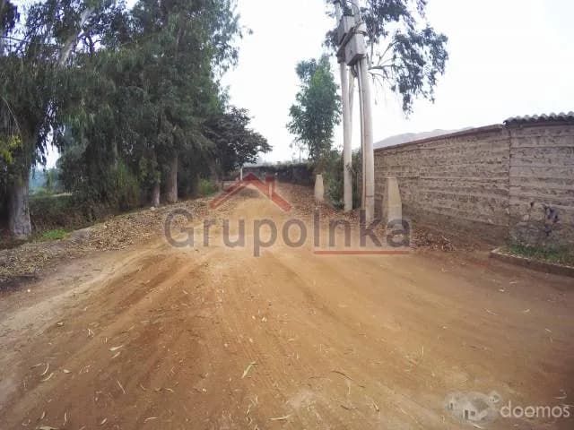 TERRENO ESPECTACULAR PARA CASA DE CAMPO O CRÍA DE CABALLOS — foto 5