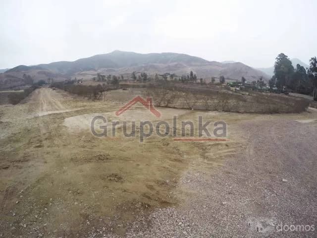 TERRENO ESPECTACULAR PARA CASA DE CAMPO O CRÍA DE CABALLOS — foto 11