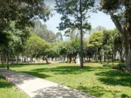 Venta departamentos en San Borja Av. Galvez Barrenechea Corpac