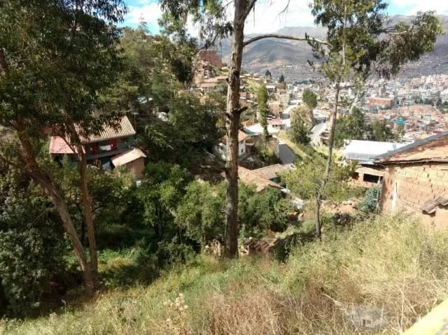 VENDO TERRENO EN APV. AYUDA MUTUA DE 2421M2 — foto 2
