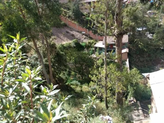 VENDO TERRENO EN APV. AYUDA MUTUA DE 2421M2 — foto 4