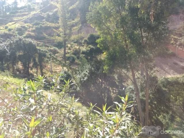 VENDO TERRENO EN APV. AYUDA MUTUA DE 2421M2 — foto 5