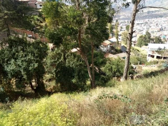 VENDO TERRENO EN APV. AYUDA MUTUA DE 2421M2 — foto 6