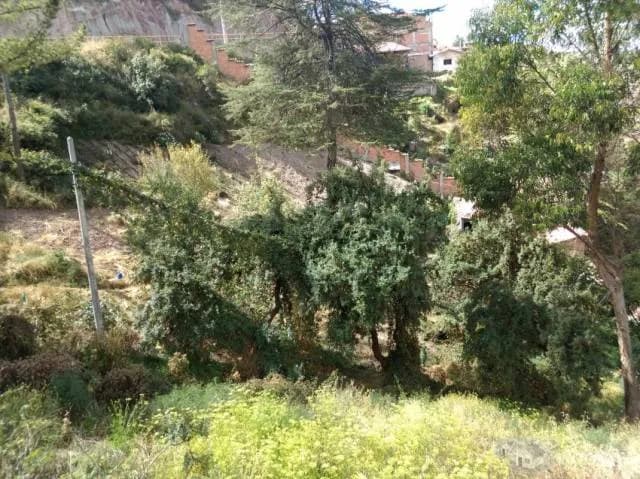 VENDO TERRENO EN APV. AYUDA MUTUA DE 2421M2 — foto 7