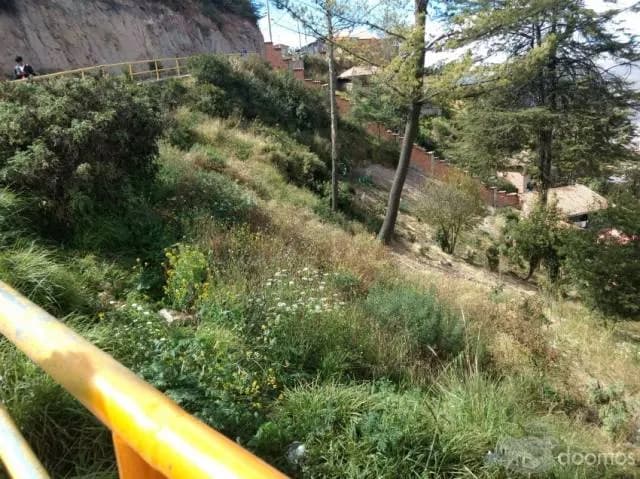 VENDO TERRENO EN APV. AYUDA MUTUA DE 2421M2 — foto 9