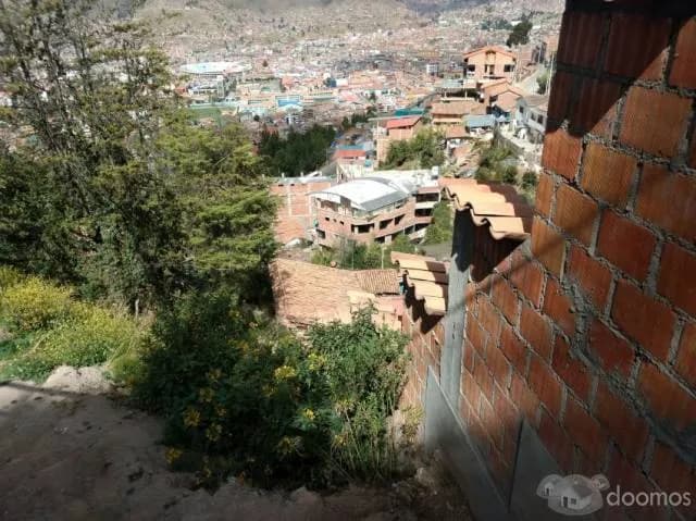 VENDO TERRENO EN APV. AYUDA MUTUA DE 2421M2 — foto 11