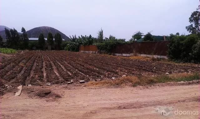 VENDO TERRENO EN PACHACAMAC — foto 6