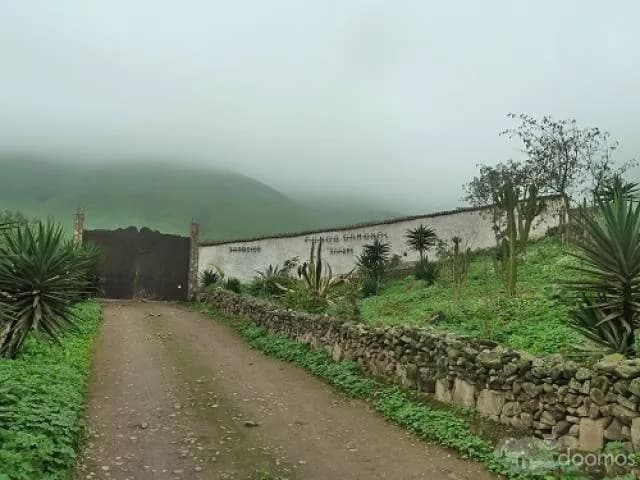 TERRENO PACHACAMAC -JATOSISA — foto 1