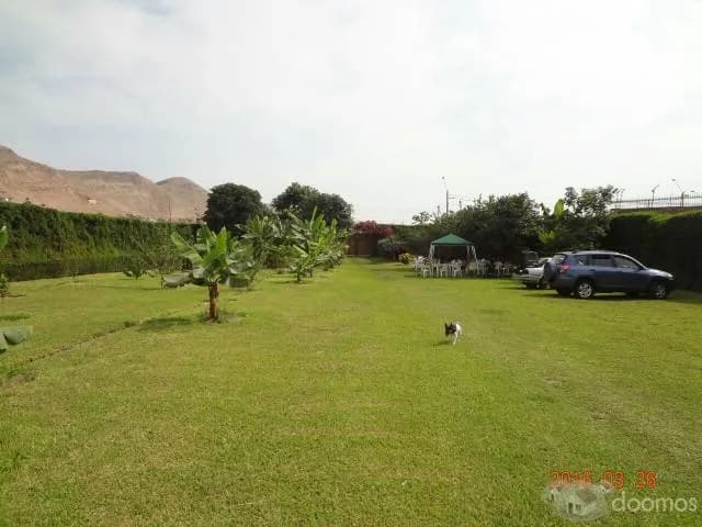 vneta de terrenos en pachacamac residencia — foto 3