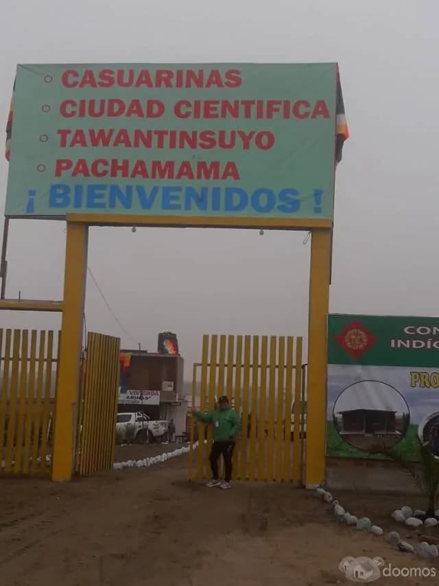 TERRENOS EN SAN VICENTE DE CAÑETE — foto 6