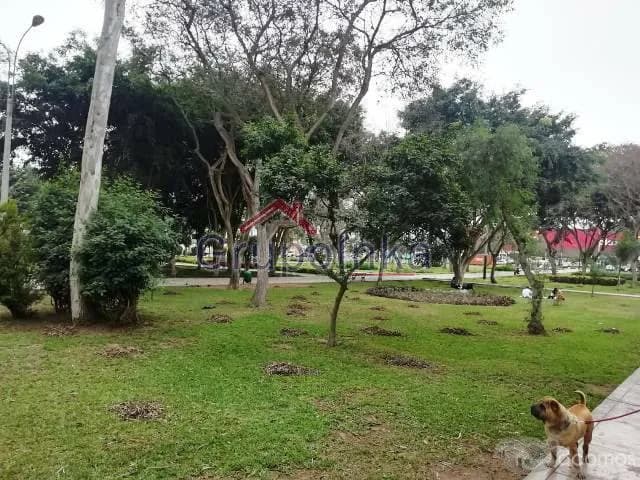 CASA CONSERVADA EN ZONA RESIDENCIAL DE URB. VALLE HERMOSO - SURCO — foto 15