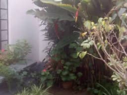Linda casita en Miraflores