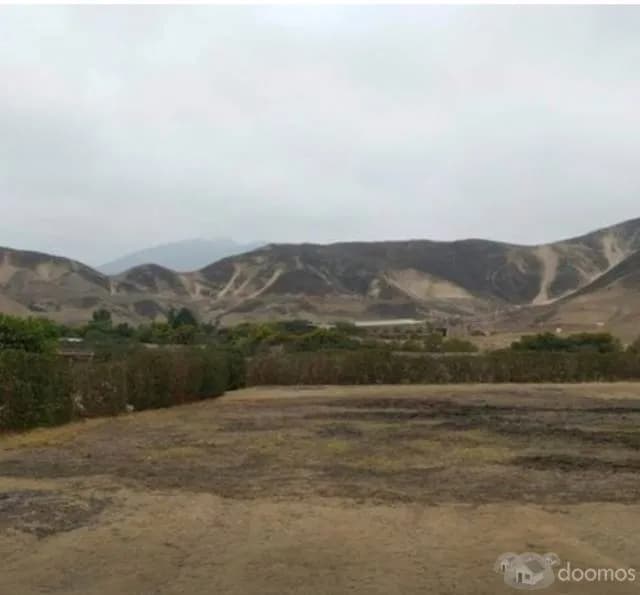 terreno Pachacamac 1000mts2 — foto 1