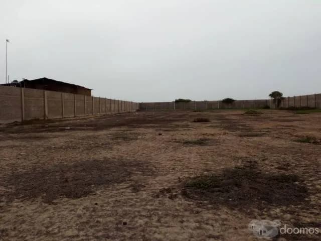 VENDO LOCAL 7,200 m2 - Lurín — foto 4