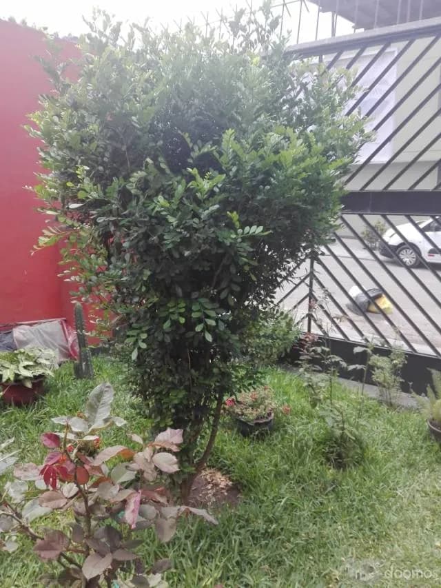 VENDO LINDA CASITA — foto 6