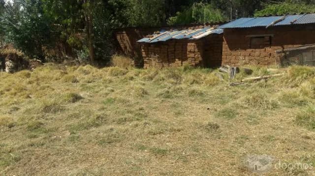 VENDO TERRENO DE 370M2 EN APV. AYUDA MUTUA — foto 10