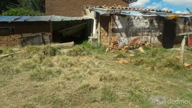 VENDO TERRENO DE 370M2 EN APV. AYUDA MUTUA — foto 11