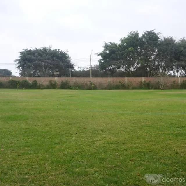 TERRENO CASA BLANCA - PACHACAMAC — foto 2