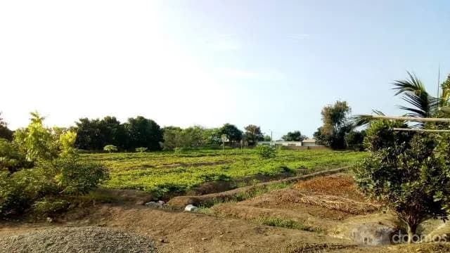 SE REMATA TERRENO DE 5400 M2 - CERCA AL MALL PLAZA - TRUJILLO — foto 3
