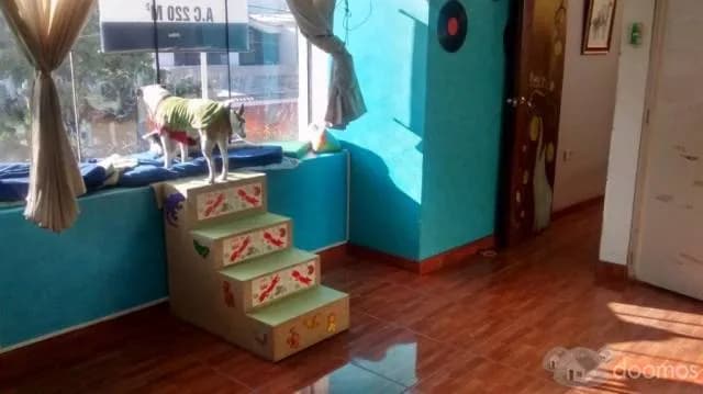 Espaciosa y cóomoda casa en venta en Arequipa — foto 1