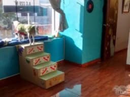 Espaciosa y cóomoda casa en venta en Arequipa