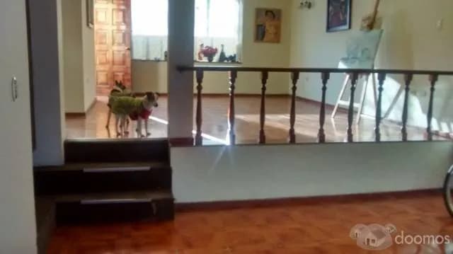 Ocasión amplia y cómoda casa — foto 4