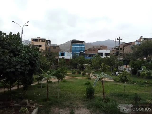 SE ALQUILA DEPARTAMENTO EN PUENTE PIEDRA — foto 1