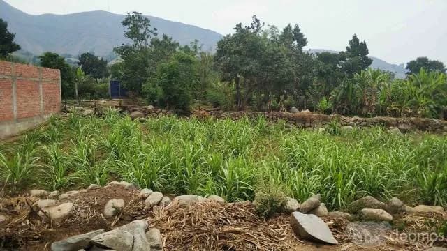 TERRENO DE OCASION — foto 1