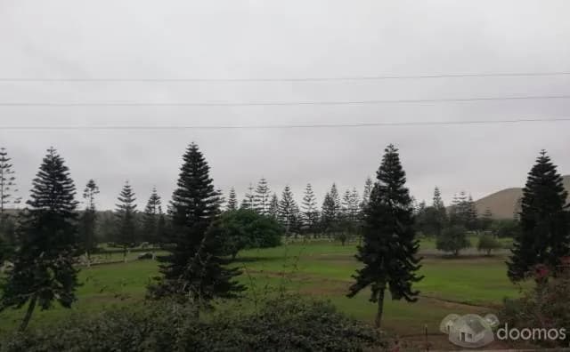 Venta de propiedad comercial, San Juan de Miraflores — foto 2
